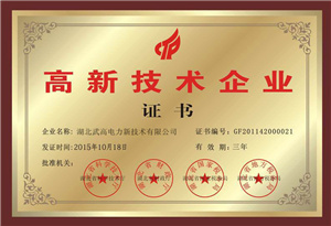 高新技術企業(yè)